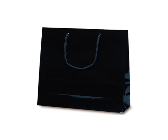 ベルベ 紙袋 ファインバッグ ブラック 50枚 1171 1ケース(ご注文単位1ケース)【直送品】