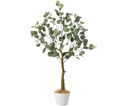 アズワン ユーカリ(フェイクグリーン 人工樹木)115cm 61-806-83-1 1個(ご注文単位1個)【直送品】