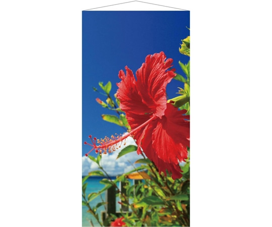 アズワン タペストリー ハイビスカスアップ 90×180cm 35-32-4-1 1セット（ご注文単位1セット）【直送品】