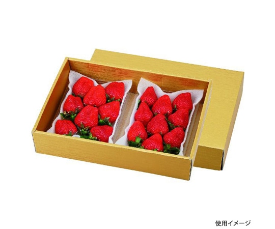 ヤマニパッケージ 青果用贈答箱 ゴールド28 50枚 L-2363 1ケース（ご注文単位1ケース）【直送品】