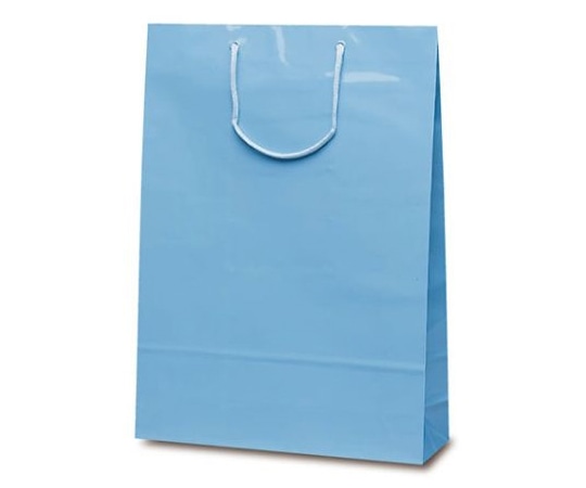 ベルベ 紙袋 エクセルバック ブルー 50枚 1106 1ケース（ご注文単位1ケース）【直送品】