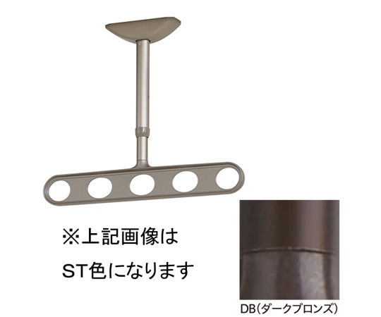 川口技研 ホスクリーン 軒天用 屋外物干し金物 ダークブロンズ 2本入 ZA-0445-DB 1セット（ご注文単位1セット）【直送品】