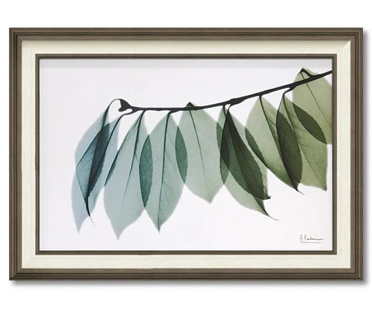 ユーパワー X RAY キャンバスアート｢リーフ2(Mサイズ)｣ XR-12006 1個（ご注文単位1個）【直送品】