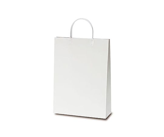 ベルベ 紙袋 A4ファイルバッグ 50枚 1084 1ケース(ご注文単位1ケース)【直送品】