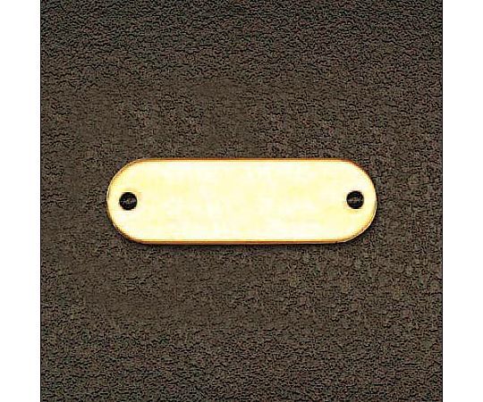 アズワン 24x54mm タグブランク(真鍮 長丸/10枚) EA591HE-15 1箱(ご注文単位1箱)【直送品】