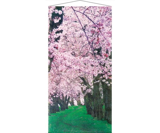 アズワン タペストリー 桜新緑 90×180cm 23-25-4-1 1個（ご注文単位1個）【直送品】