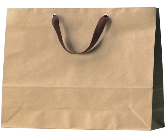 丸玉工業 クラフトバッグ 中ヨコ 100枚入  1ケース（ご注文単位1ケース）【直送品】