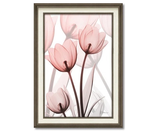 ユーパワー X RAY キャンバスアート｢ラスター チューリップ(Mサイズ)｣ XR-12013 1個（ご注文単位1個）【直送品】