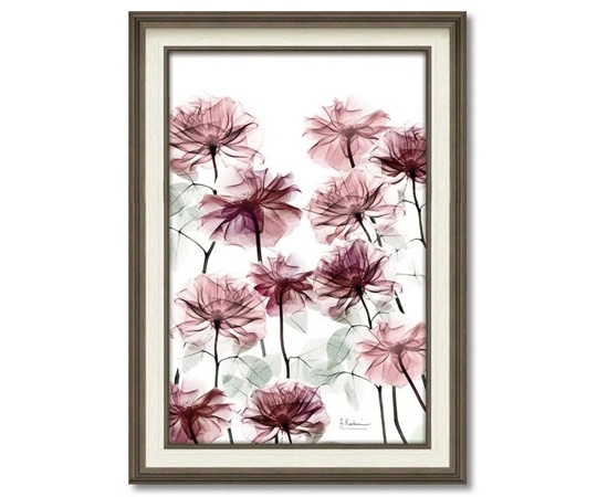 ユーパワー X RAY キャンバスアート｢フラワーベッド(Mサイズ)｣ XR-12017 1個（ご注文単位1個）【直送品】