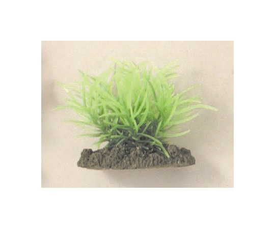 マルカン アクアティックプランツ SS-8 NAP-307 1個（ご注文単位1個）【直送品】