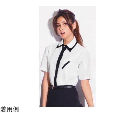 カーシーカシマ AMUS-NET シャツ Shirts Collection 234-11 ホワイト LL ASY234 1枚（ご注文単位1枚）【直送品】