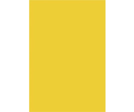 カウネット 色画用紙 八つ切 ひまわり 10枚 3736-7299 1パック(ご注文単位1パック)【直送品】