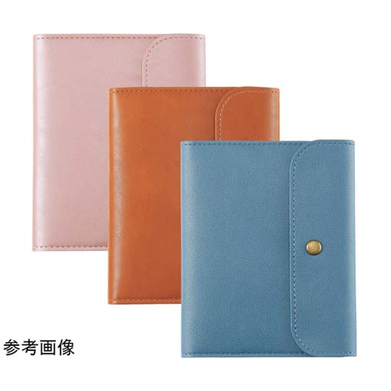 LIHITLAB ホスピタルポーチ(L) ブラウン A7206-9 1個(ご注文単位1個)【直送品】