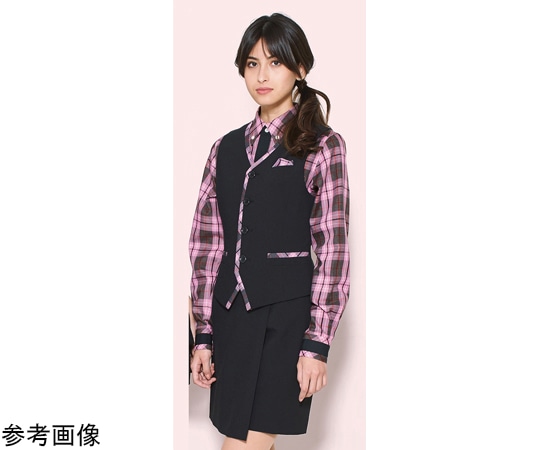 カーシーカシマ AMUS-NET ベスト 163-10 S AAH163 1枚（ご注文単位1枚）【直送品】