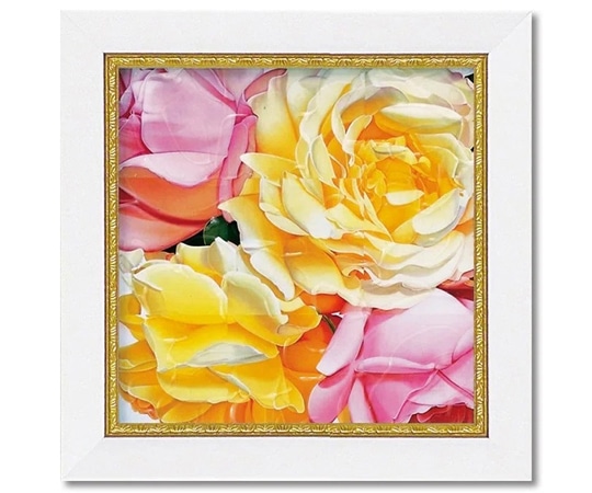 ユーパワー ミニゲル アートフレーム アニー バードラット｢ピース｣ AB-02004 1個（ご注文単位1個）【直送品】