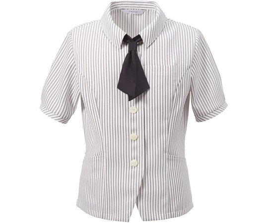 カーシーカシマ ENJOY オーバーブラウス SARA CLEAR BLOUSE ホワイト 7号 ESA836 1枚（ご注文単位1枚）【直送品】