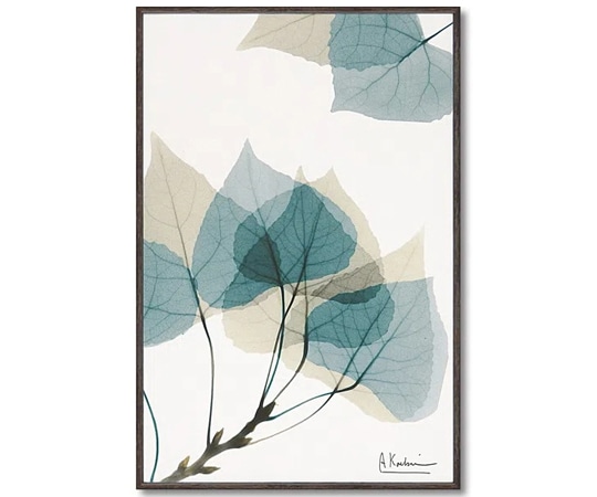 ユーパワー X RAY キャンバスアート｢リーフ1(Sサイズ)｣ XR-03808 1個（ご注文単位1個）【直送品】