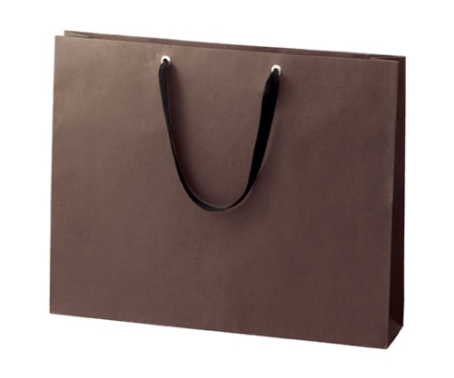 ストア・エキスプレス ショルダーバッグ ブラウン 60×10×42 入数10枚 61-317-10-2 1セット(ご注文単位1セット)【直送品】