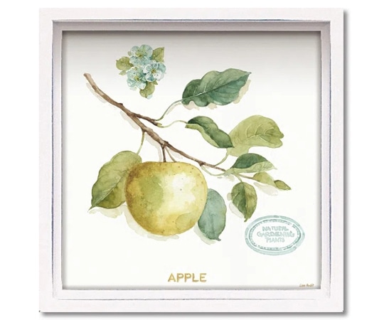 ユーパワー ロハス ミニアートフレーム リサ オーディット｢マイ グリーンハウス フルーツ4｣ LA-01205 1個（ご注文単位1個）【直送品】