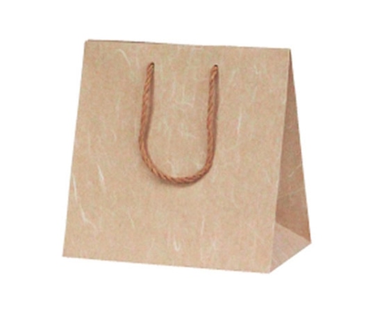 ベルベ 紙袋 T-ミニ特 絹流(きんりゅう) 100枚 1091 1ケース(ご注文単位1ケース)【直送品】