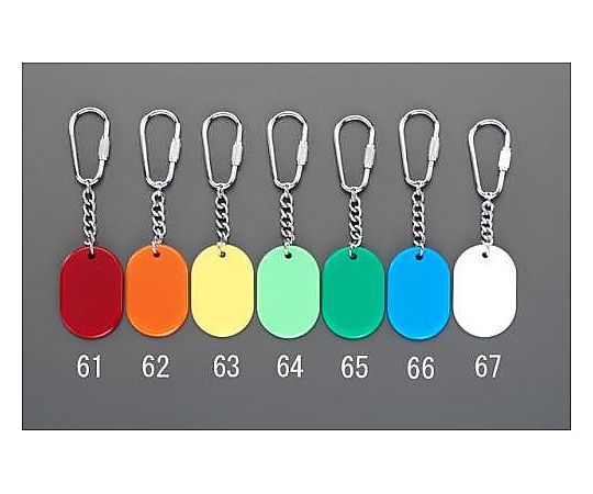 エスコ 30x45mm カラーキーホルダー(若草) EA956V-64 1個(ご注文単位1個)【直送品】