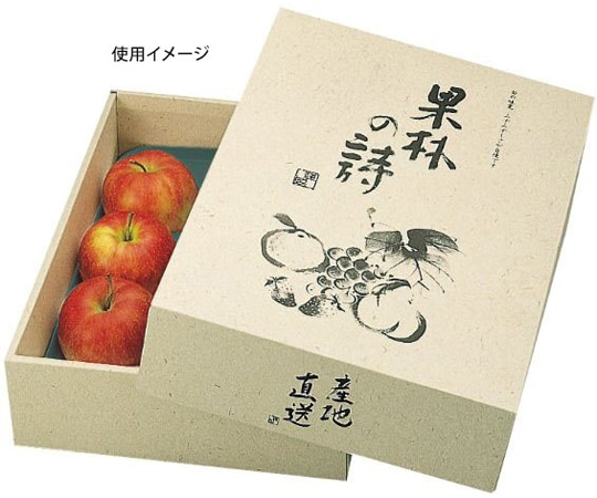 ヤマニパッケージ 青果用贈答箱 果林の詩 40枚 L-293 1ケース（ご注文単位1ケース）【直送品】