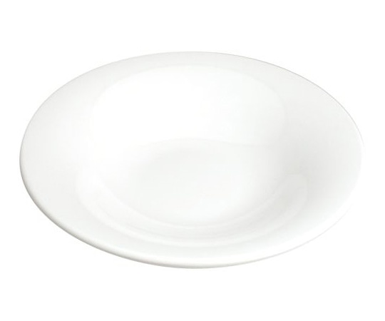 Daiwa Fプレート 中 白 TK-260-W 1個(ご注文単位1個)【直送品】