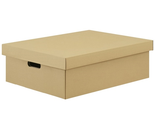 アイリスオーヤマ 段ボール収納ケース2枚セット クラフト DB-490 1箱(ご注文単位1箱)【直送品】