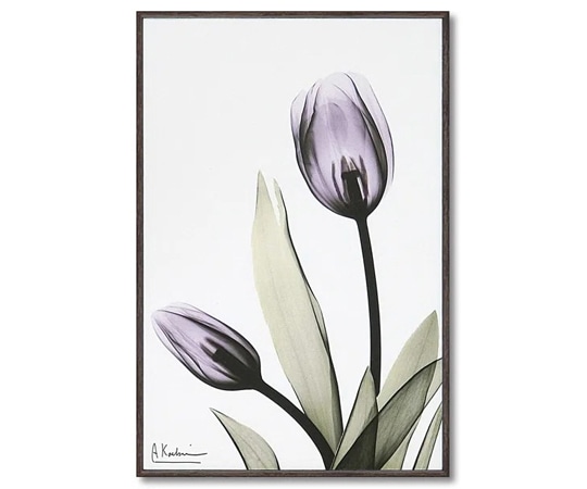 ユーパワー X RAY キャンバスアート｢チューリップ(Sサイズ)｣ XR-03802 1個（ご注文単位1個）【直送品】