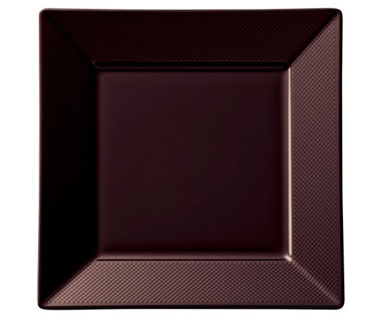 Daiwa 21cmチェックスクエア 溜(ため) NS-21-T 1個(ご注文単位1個)【直送品】