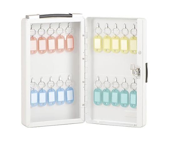 ナカバヤシ 168x65x287mm キーボックス(20本用) EA956VG-2 1個(ご注文単位1個)【直送品】