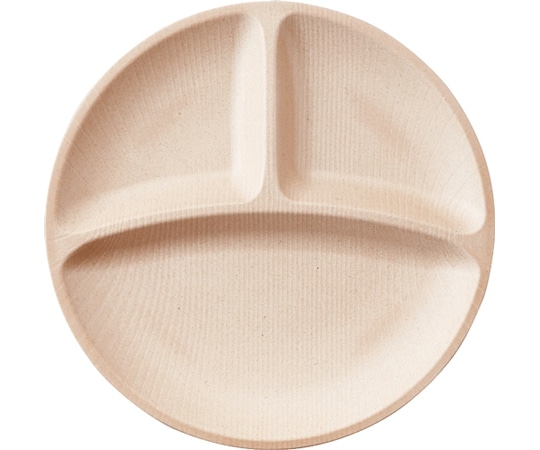 Daiwa 25cm3ツ仕切プレート ナチュラルベージュ WD-15-NBE 1個(ご注文単位1個)【直送品】