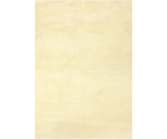 エスパック 不織布インナーバック 薄タイプ ベージュ L 1袋(100枚入)  1袋(ご注文単位1袋)【直送品】