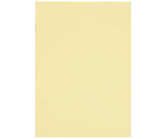 ジョインテックス マルチカラーペーパー<厚口> A3 クリーム 500枚入 A274J-2 1冊(ご注文単位1冊)【直送品】