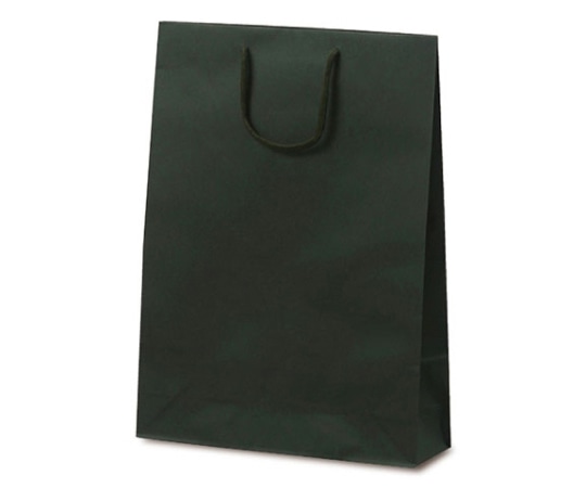 ベルベ 紙袋 手提袋 T-8 カラークラフト グリーン 100枚 1034 1ケース（ご注文単位1ケース）【直送品】