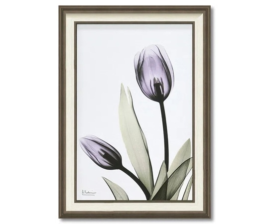 ユーパワー X RAY キャンバスアート｢チューリップ(Mサイズ)｣ XR-12001 1個（ご注文単位1個）【直送品】