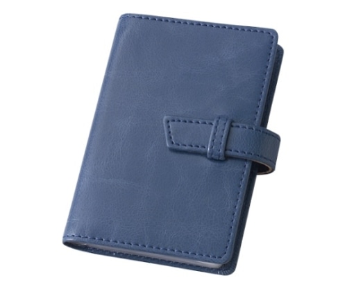 レイメイ藤井 グロワールカードホルダー ブルー CH39A 1個(ご注文単位1個)【直送品】