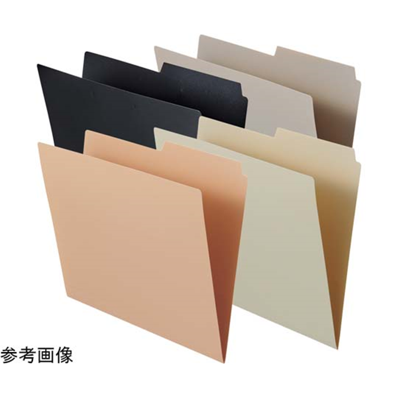 LIHITLAB 個別フォルダー ピンク F292-12 1組(ご注文単位1組)【直送品】