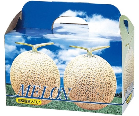 ヤマニパッケージ 青果用贈答箱 ピュアメロン 2個入 台紙付 50枚 L-340T 1ケース（ご注文単位1ケース）【直送品】