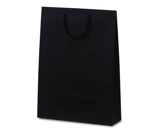 ベルベ 紙袋 手提袋 T-8 カラークラフト ブラック 100枚 1039 1ケース(ご注文単位1ケース)【直送品】