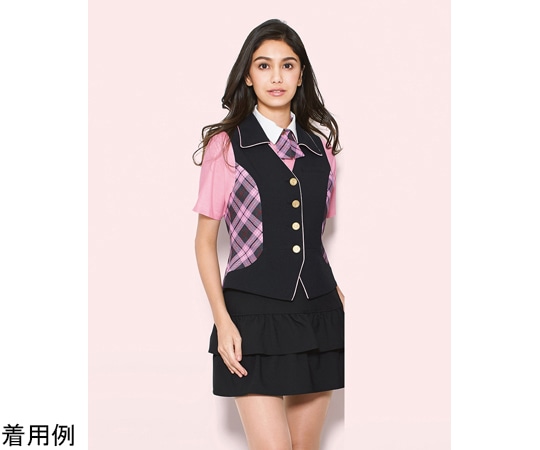 カーシーカシマ AMUS-NET ベスト 161-10 S AAV161 1枚（ご注文単位1枚）【直送品】