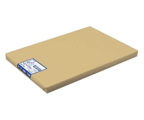 キョクトウ・アソシエイツ 画用紙 四ツ切 1冊(100枚入) KE1704 1冊(ご注文単位1冊)【直送品】