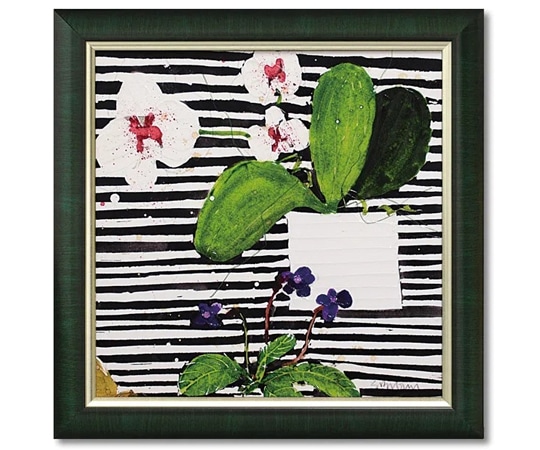 ユーパワー スーザン ブラウン｢ホットハウス オーキッド｣ SB-10002 1個（ご注文単位1個）【直送品】