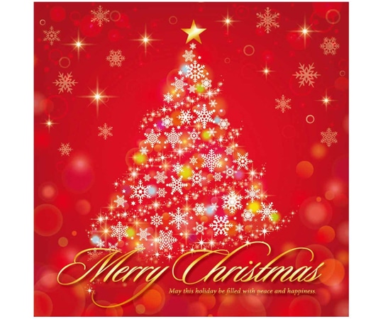 アズワン カラフルクリスマス テーマポスター 両面 36×36cm 10枚入 38-119-6-1 1個(ご注文単位1個)【直送品】