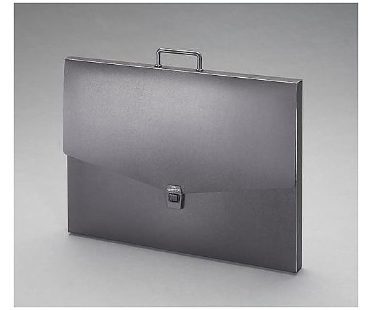 エスコ 四つ切/420x570mm デザインケース EA762CF-254 1冊(ご注文単位1冊)【直送品】