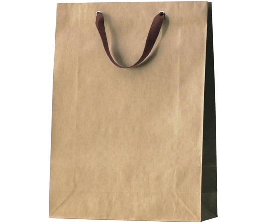 丸玉工業 クラフトバッグ 大ロング 100枚入  1ケース（ご注文単位1ケース）【直送品】