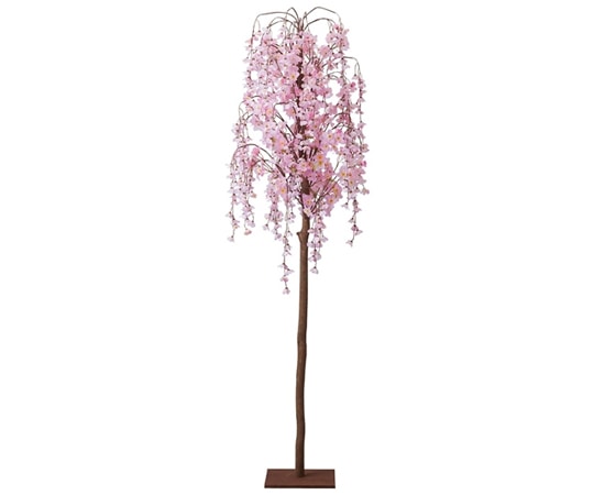 アズワン シダレ桜立ち木 H164cm 特大 23-5-4-2 1個(ご注文単位1個)【直送品】
