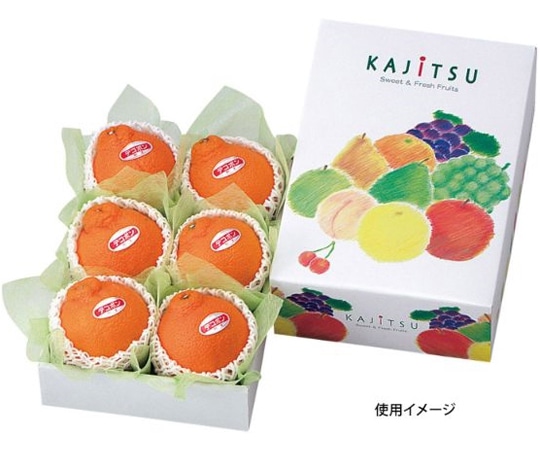 ヤマニパッケージ 贈答箱 果実パレット ミニ 50枚 L-447 1ケース（ご注文単位1ケース）【直送品】