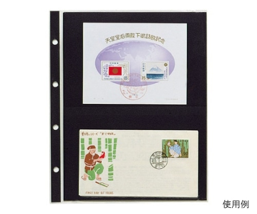 テージー コレクションアルバム CA-302S 1冊(ご注文単位1冊)【直送品】