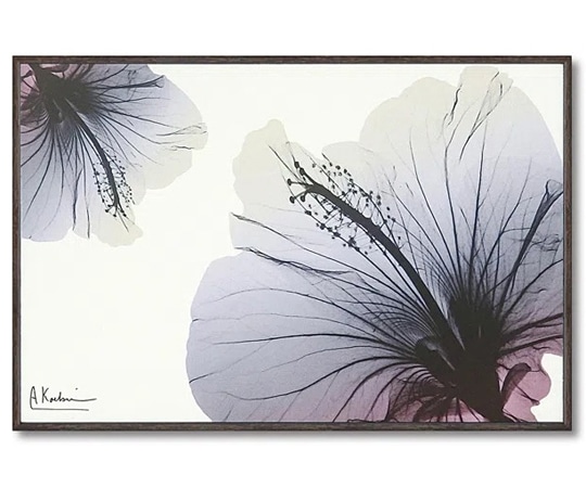 ユーパワー X RAY キャンバスアート｢ハイビスカス(Sサイズ)｣ XR-03810 1個（ご注文単位1個）【直送品】